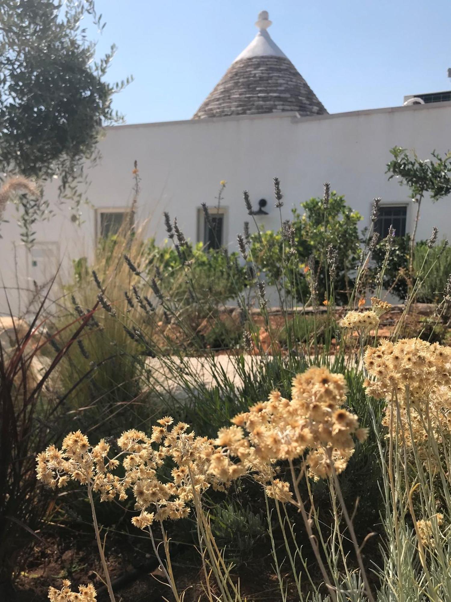 Trullo Falco 셀바디파사노 외부 사진
